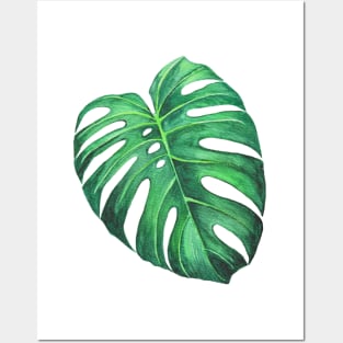 Monstera leaf tropical watercolor illustration Posters and Art